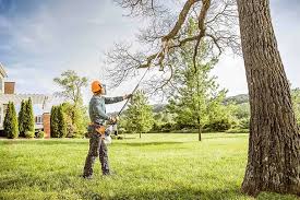 How Our Tree Care Process Works  in Brielle, NJ